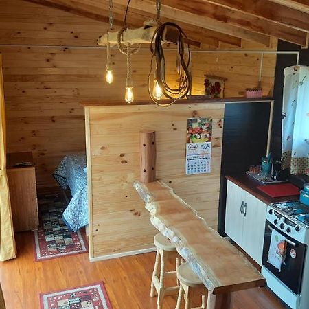 Cabana Del Campo Hornopiren Exteriör bild